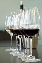 Red and white wine Glasses for wine tasting