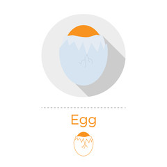 Cracked egg vector illustration