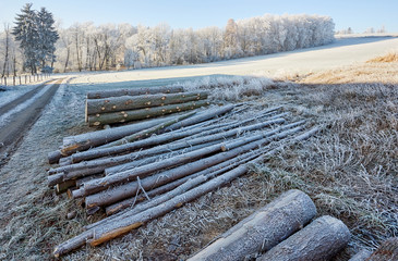 Countryside with frozen logs fields and trees with dirty road