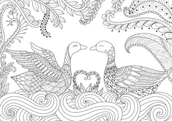 Fototapeta premium Two swans playing together on the river. Happy Valentine's day. Adult coloring book pages for anti stress