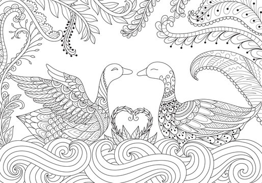 Two swans playing together on the river. Happy Valentine's day. Adult coloring book pages for anti stress