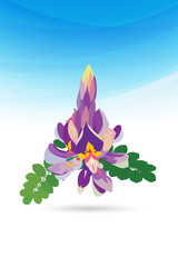 Afgekia flower, Afgekia mahidoliae, Family Fabaceae, Central of