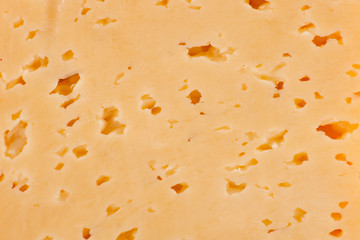 Piece of cheese close up