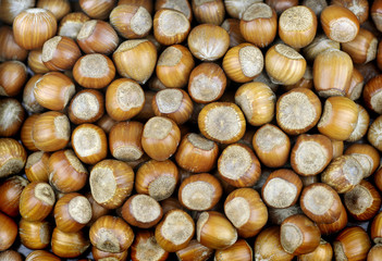 Hazelnuts