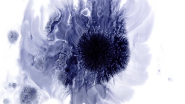 Beautiful watercolor ink drops on white paper, paint bleed Bloom, with black circle organic flow expanding, splatter spreading on clear background. Perfect for motion graphics, digital composition