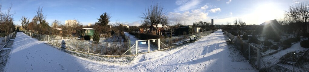Allotments in snowy winter