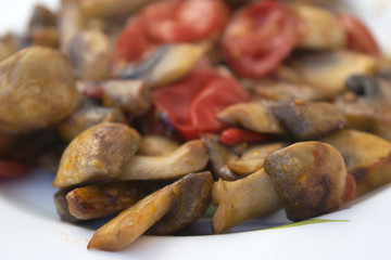 Aromatic stewed mushrooms with tomatoes