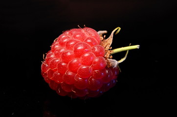 Raspberry