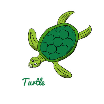 Cute cartoon turtle