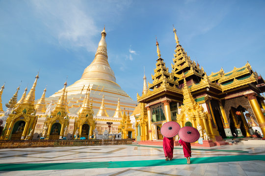 ミャンマーのパゴダ(油絵） ミャンマーのパゴダ(油絵） Pagoda Yangon Stock Illustrations