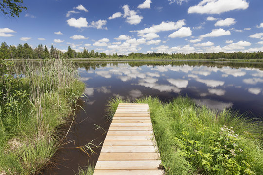 Jetty and cumulus clouds, Wurzacher Ried Moor, Bad Wurzach, Upper Swabia, Baden-Wurttemberg, Germany