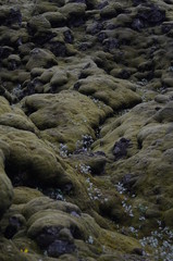 Adventure - Or The Road Less Traveled