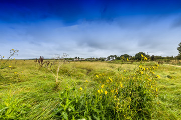 Obraz premium Landscape