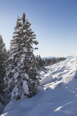 Mountain range Zyuratkul. Forest and snowdrifts, winter landscap
