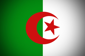 Algeria flag 3D illustration vertical bicolor symbol. Algeria flag background