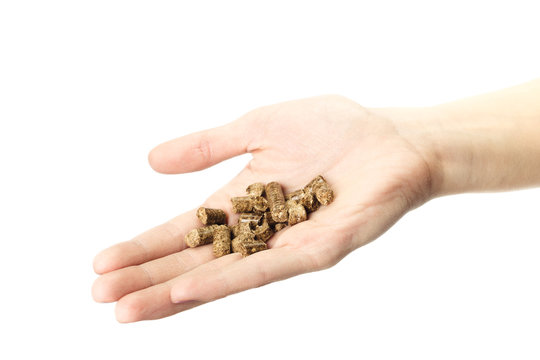 Human hand holding solid wooden pellets