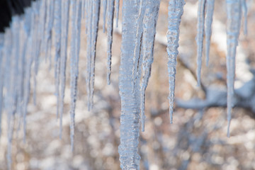 Snowy ice Icicles hanging on a roof house