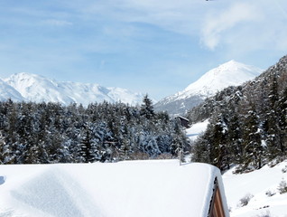 Fototapeta premium paesaggio invernale