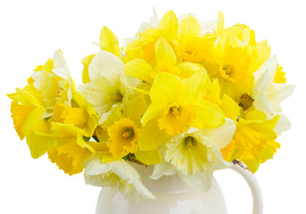 Fresh spring bright yellow daffodils in vase close up isolated on white background