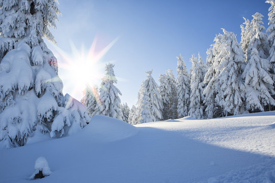 รูปภาพWinterpanorama – เลือกดูภาพถ่ายสต็อก เวกเตอร์ และวิดีโอ1,834 ...