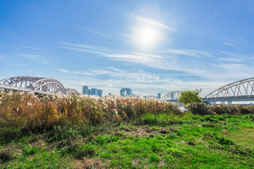 淀川沿いの風景