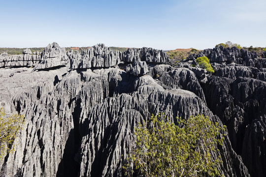 Grand Tsingy, Tsingy du Bemaraha National Park, western area, Madagascar
