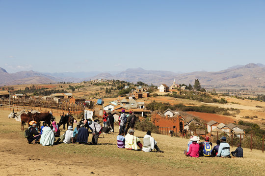 Zebu cattle market, Ambalavao, central area, Madagascar