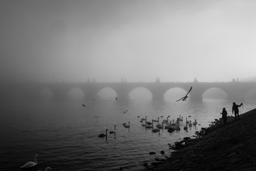 Karlsbrücke im Nebel