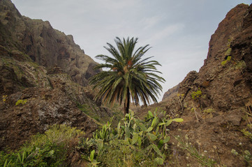 Vallée de Masca