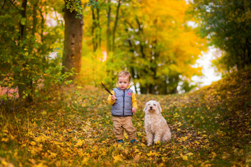Little boy and dog - autumn