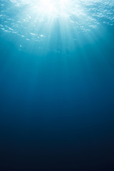 Unterwasser-Hintergrund © Richard Carey