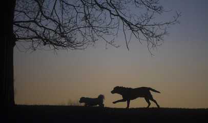 sunrise in January