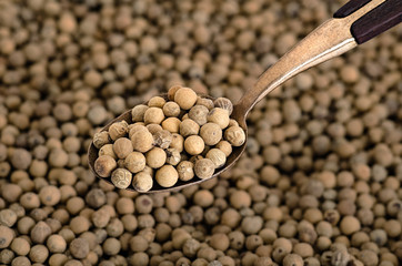 White Pepper on Old  Brass Spoon