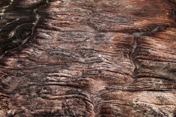 Stone  texture background closeup