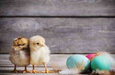 chicken with Easter eggs on wooden background