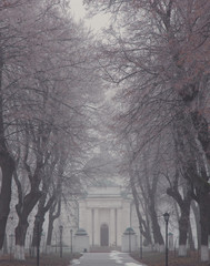 Fototapety na wymiar - Fototapeta24.pl
