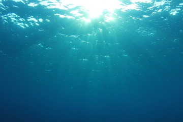 Fototapeta na wymiar Underwater background