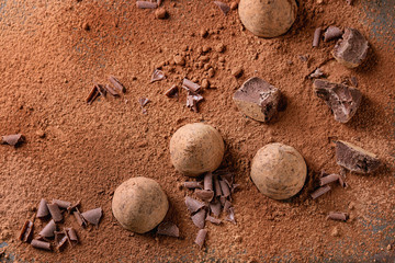 Fototapeta na wymiar Chocolate truffles with cocoa powder