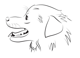 dog portrait in profile