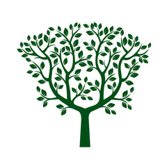Fototapeta premium Green Tree with Leafs. Vector Illustration.