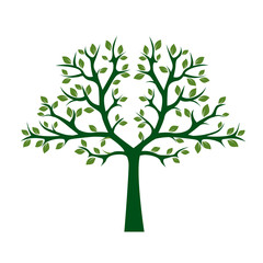 Obraz premium Green Tree with Leafs. Vector Illustration.
