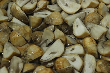 cut mushrooms in the water