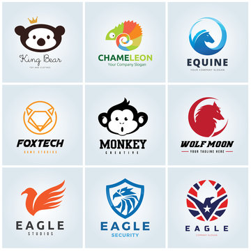 Animal logo collection,  Animal head symbol. Eagle logo, Bear logo, Chameleon, Equine logo, monkey logo, Wolf logo, Wing Logo, Vector logo template.