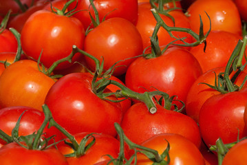 Fresh tomatoes