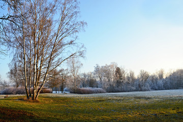 Winter park in Franzensbad, at the springs Natalie,
Frozen nature - park in Franzensbad, and surroundings,
