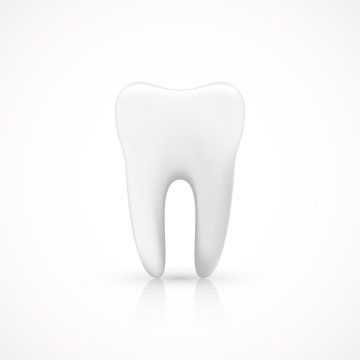 Healthy Tooth Isolated on White, vector illustration
