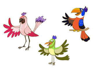 Cartoon bird set
