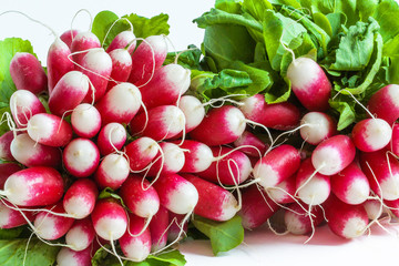 Bottes de radis sur fond blanc 