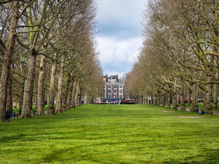 Symmetrical Park