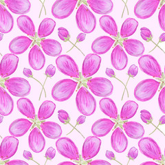 Apple blossom. Seamless watercolor pattern
